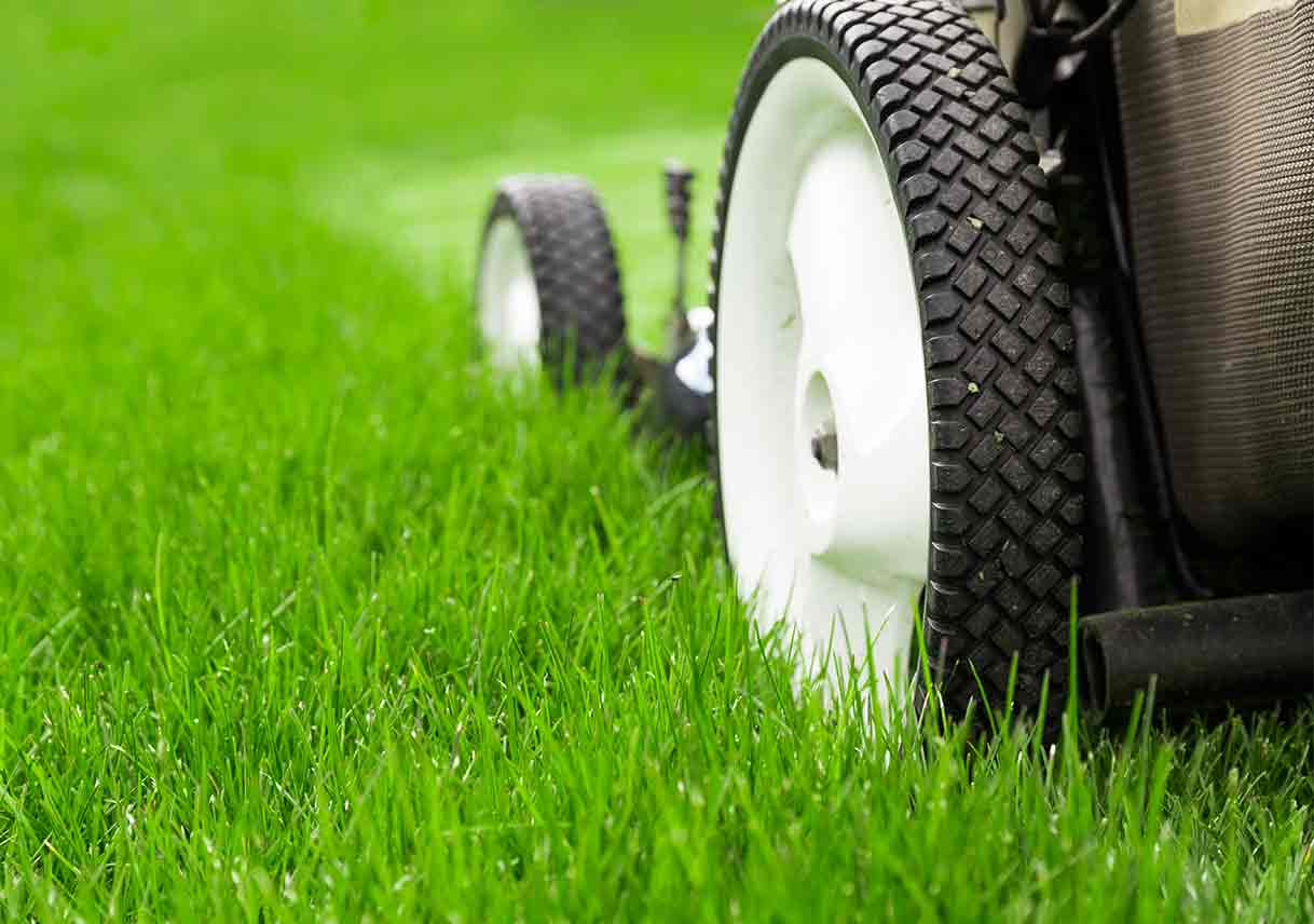 lawn example